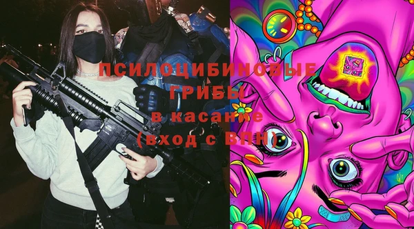 первитин Богородицк