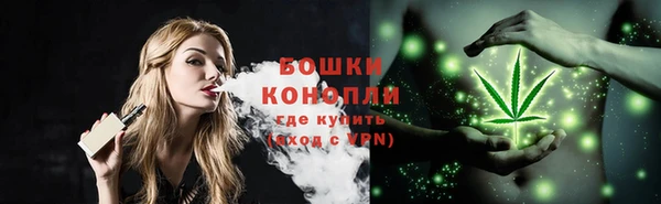 молекула духа Бугульма