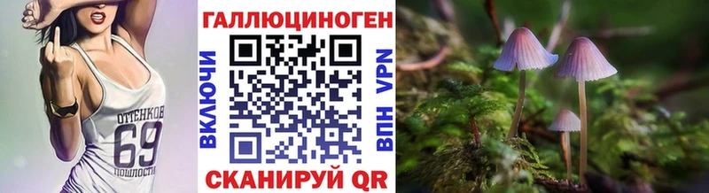 как найти   Выборг  Галлюциногенные грибы ЛСД 